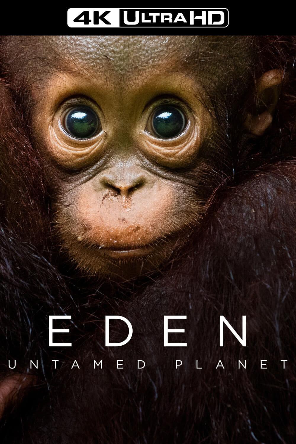 Eden: Untamed Planet poster