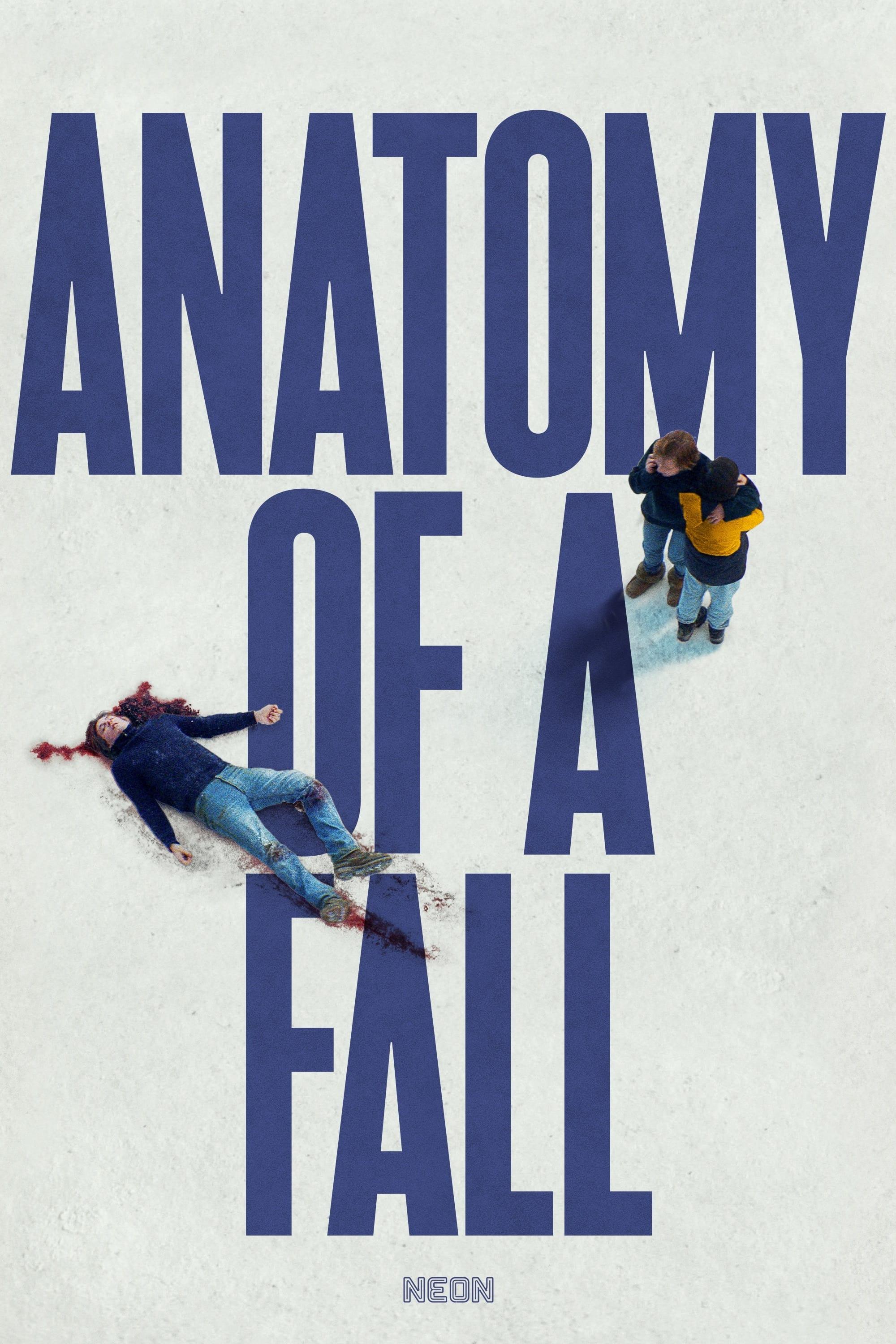 Anatomy of a Fall poster