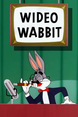Wideo Wabbit poster
