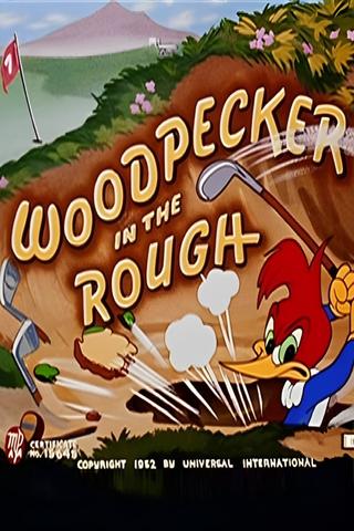 Woodpecker in the Rough poster