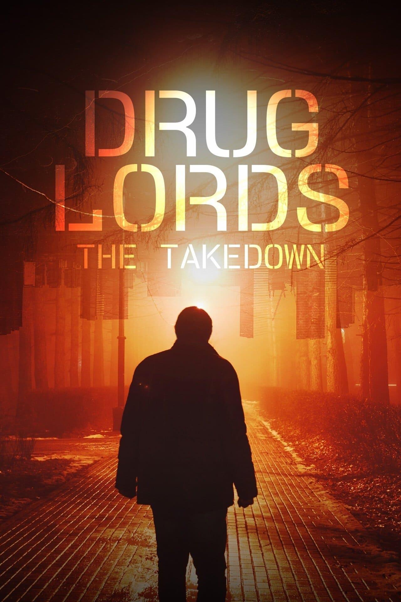 Drug Lords: The Takedown poster