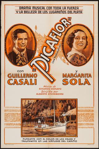 Picaflor poster