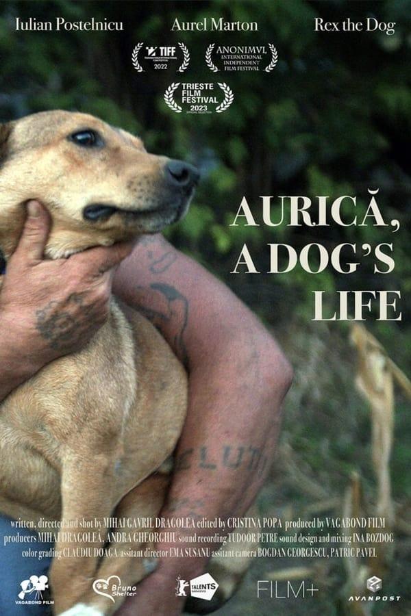 Aurica, a Dog's Life poster