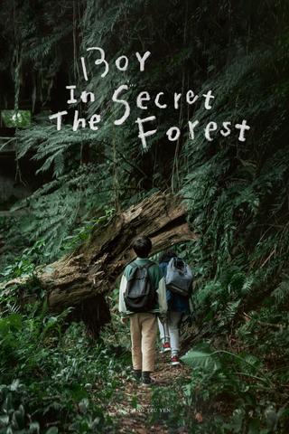 Boy in the Secret Forest poster