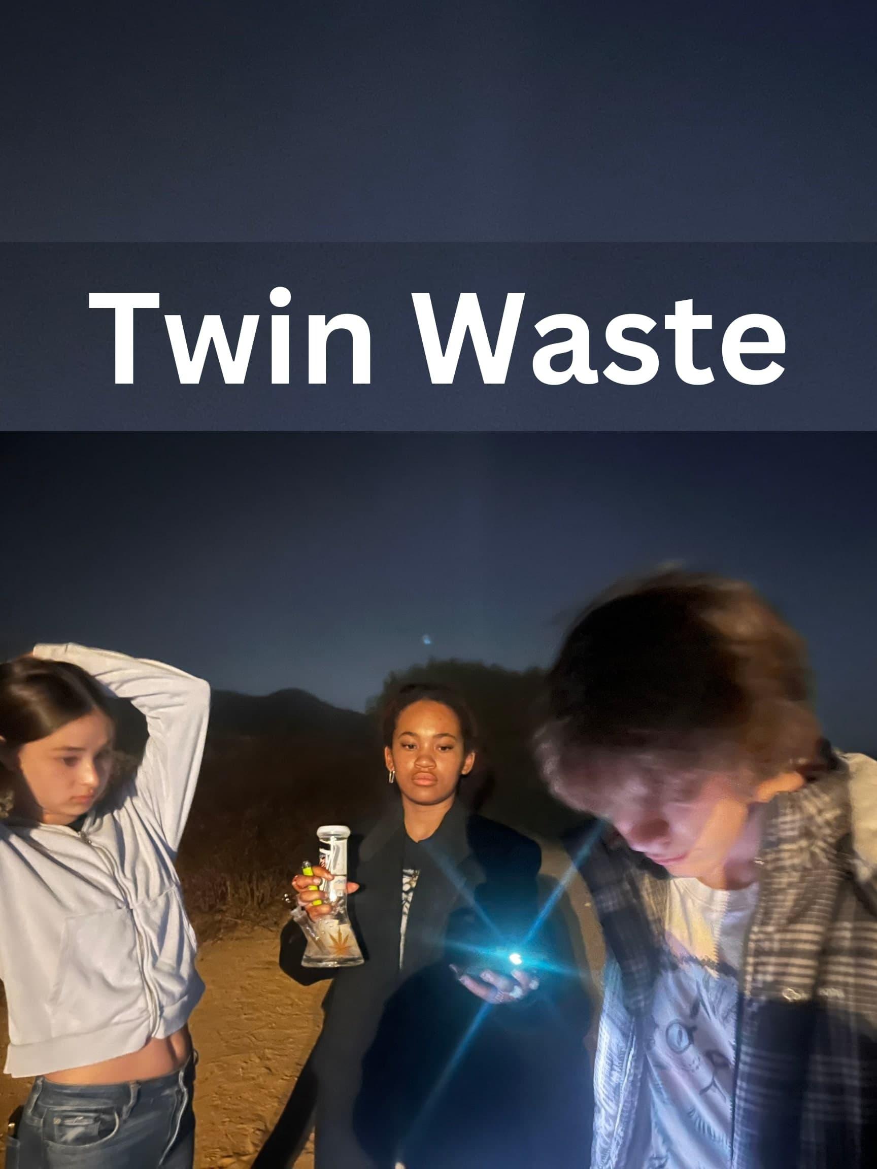 Twin Waste poster