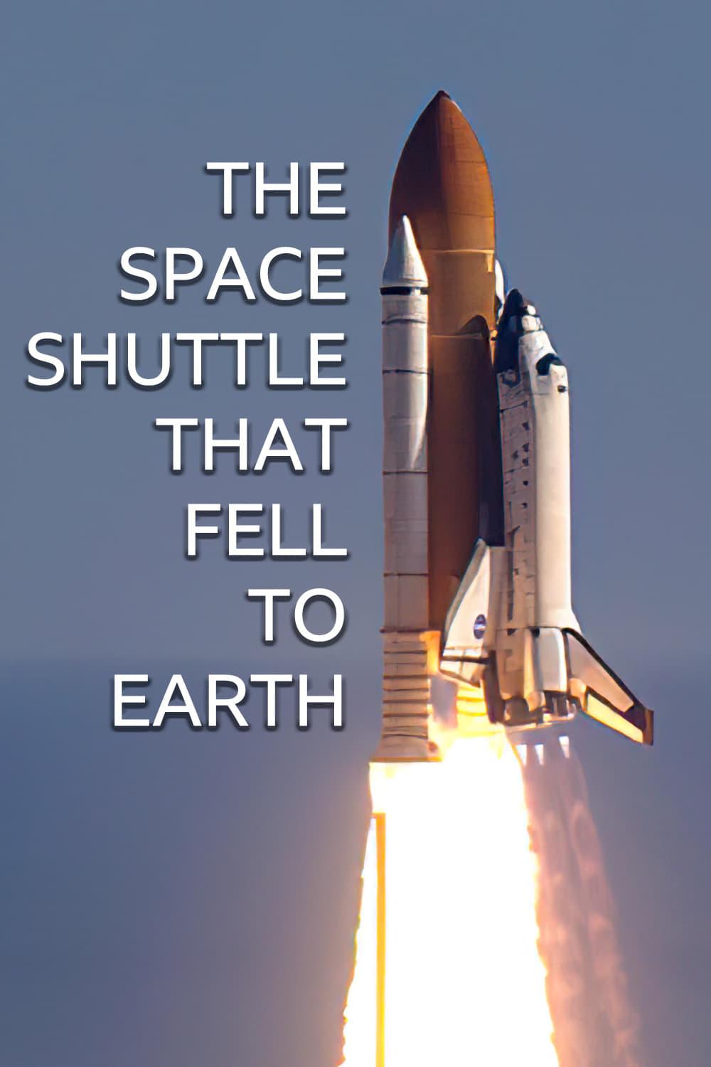 The Space Shuttle That Fell to Earth poster