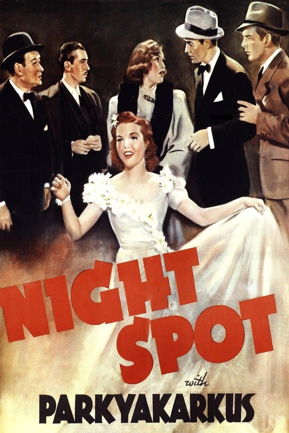 Night Spot poster