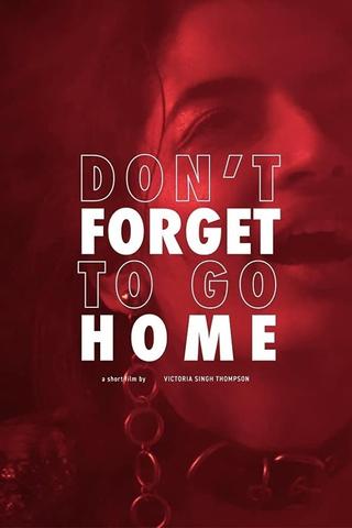 Don't Forget to Go Home poster