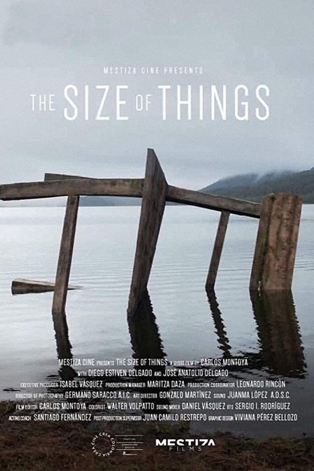 The Size of Things poster