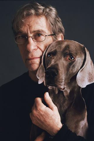 William Wegman pic