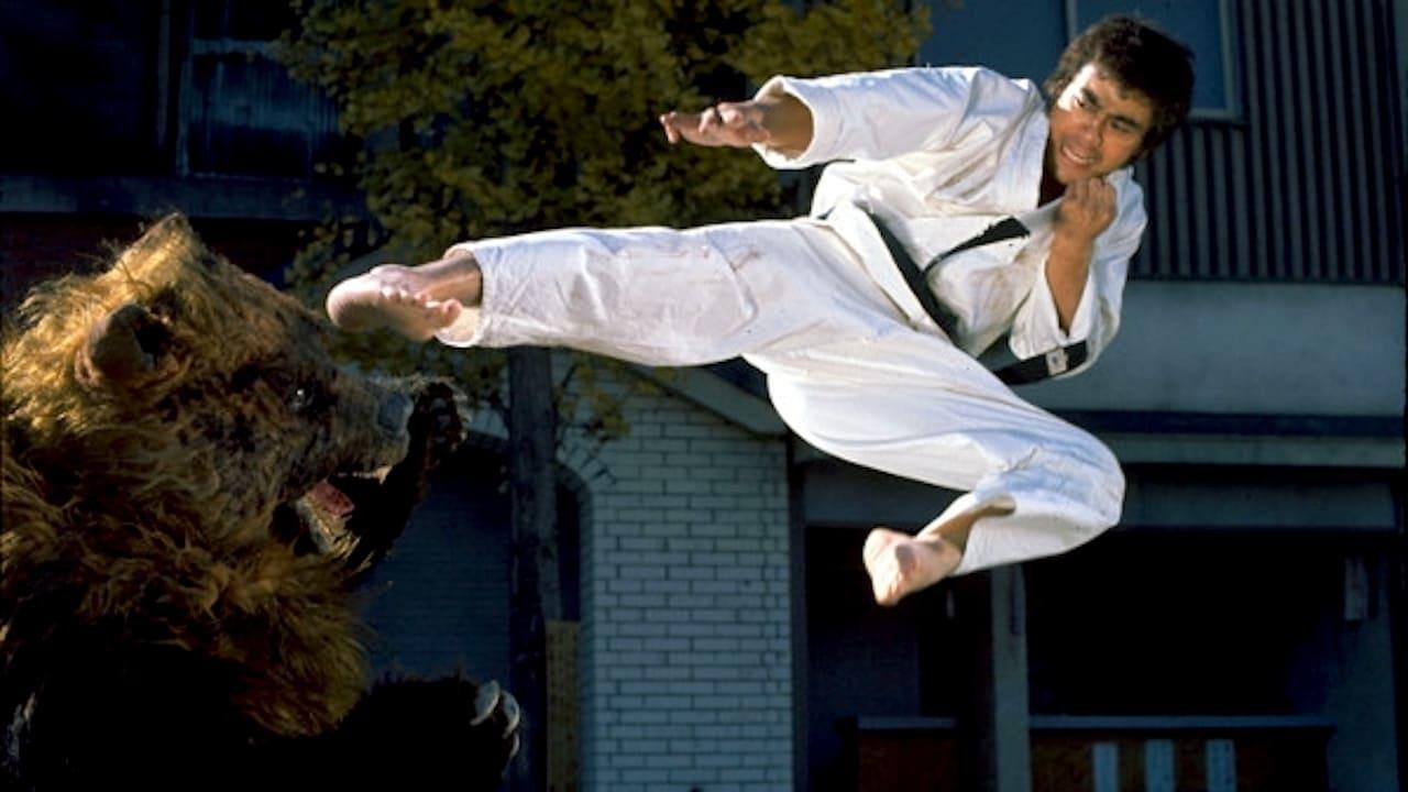 Karate Bear Fighter backdrop