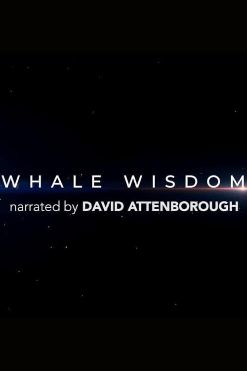 Whale Wisdom poster