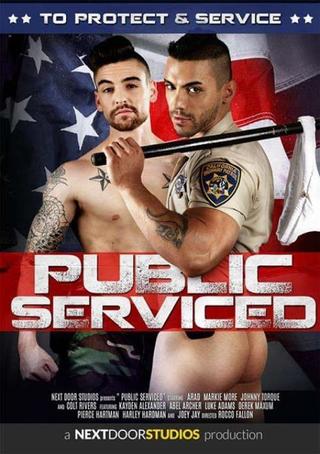 Public Serviced poster