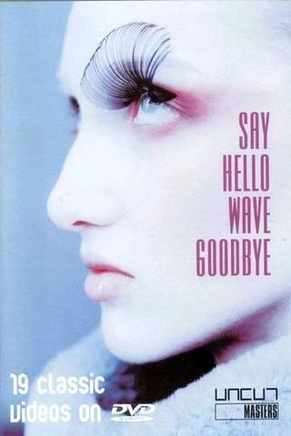 Say Hello, Wave Goodbye poster