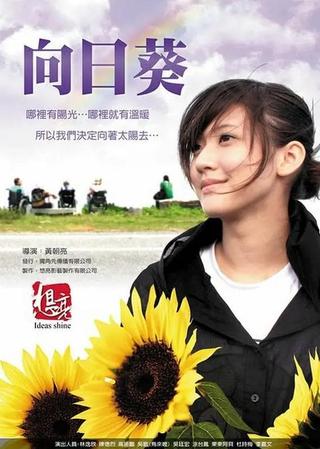 Sun Flowers poster