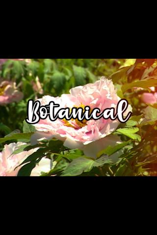 Bloom Skateboards Presents Botanical poster