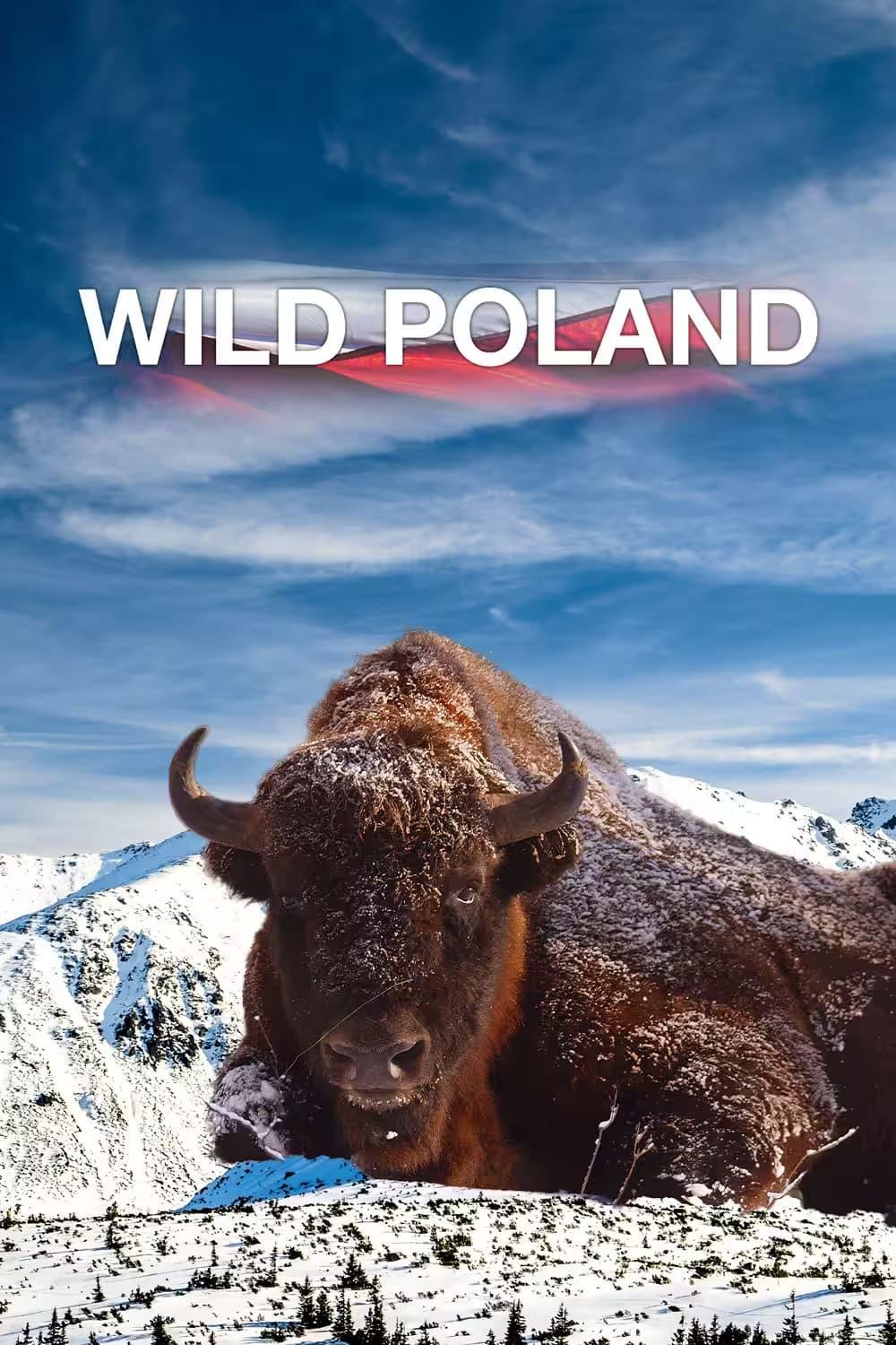 Wild Poland poster