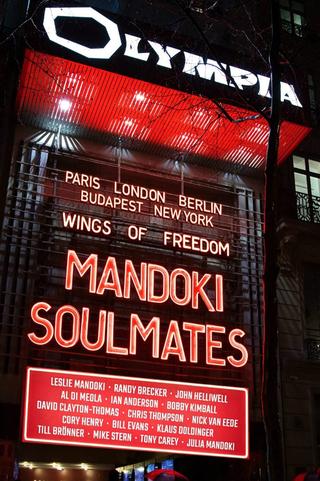 ManDoki Soulmates: Wings Of Freedom poster
