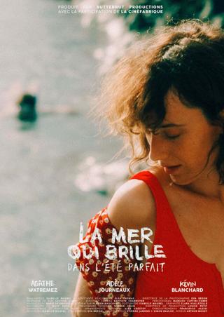 La mer qui brille dans l'été parfait poster