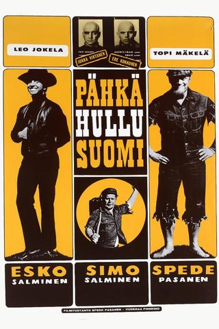 Pähkähullu Suomi poster