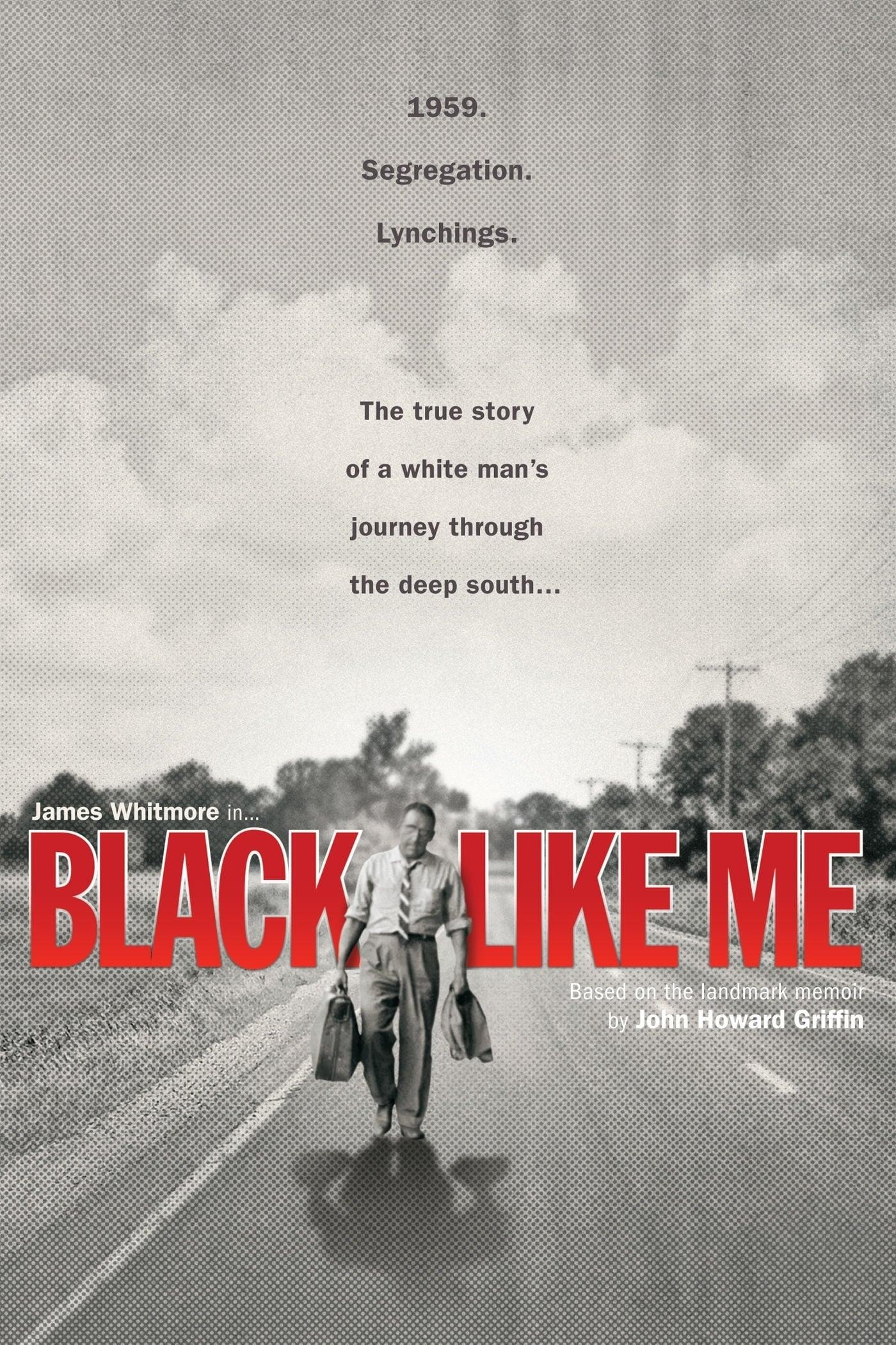 Black Like Me poster