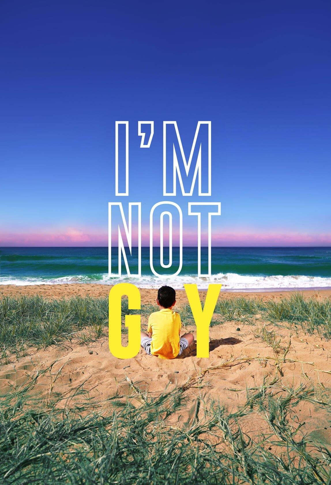 I'm Not Gay poster