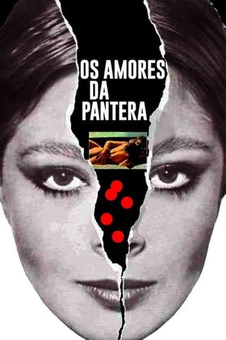 Os Amores da Pantera poster