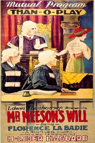 Mr. Meeson's Will poster