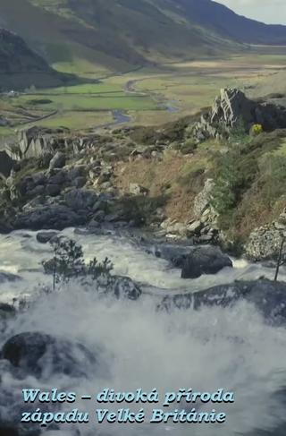 Wales: Great Britain's Wild West poster