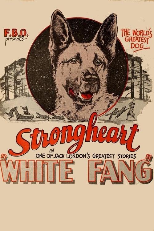 White Fang poster