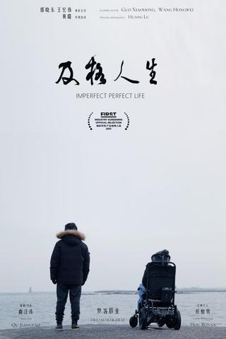 Imperfect Perfect Life poster