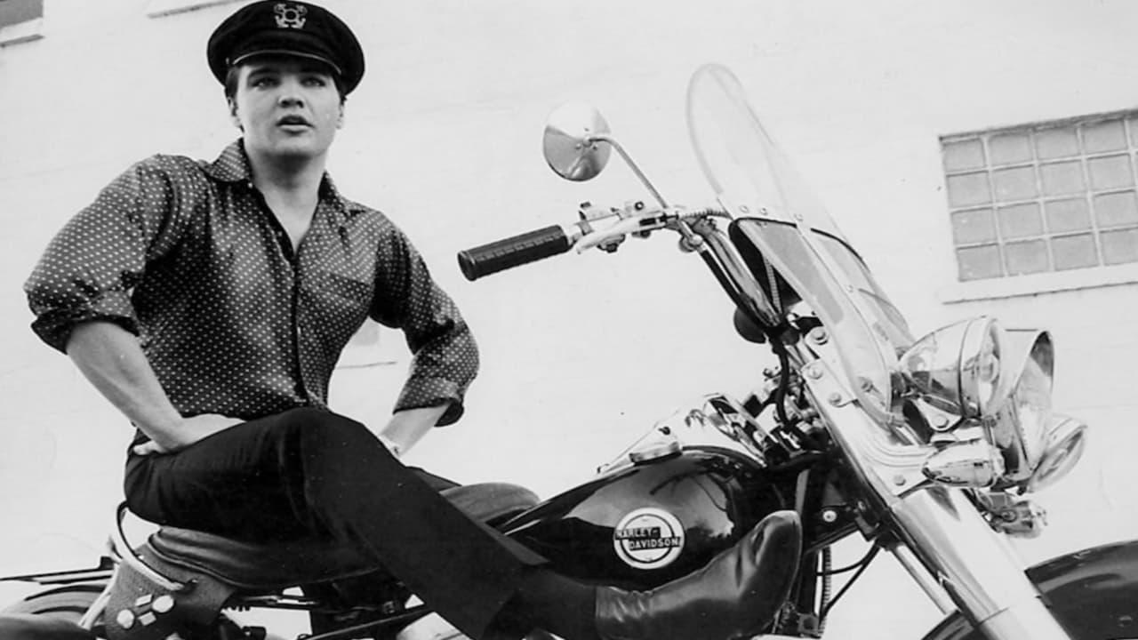 Harley-Davidson: The American Motorcycle backdrop