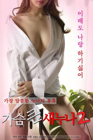 Big Breasts Sister 2 poster