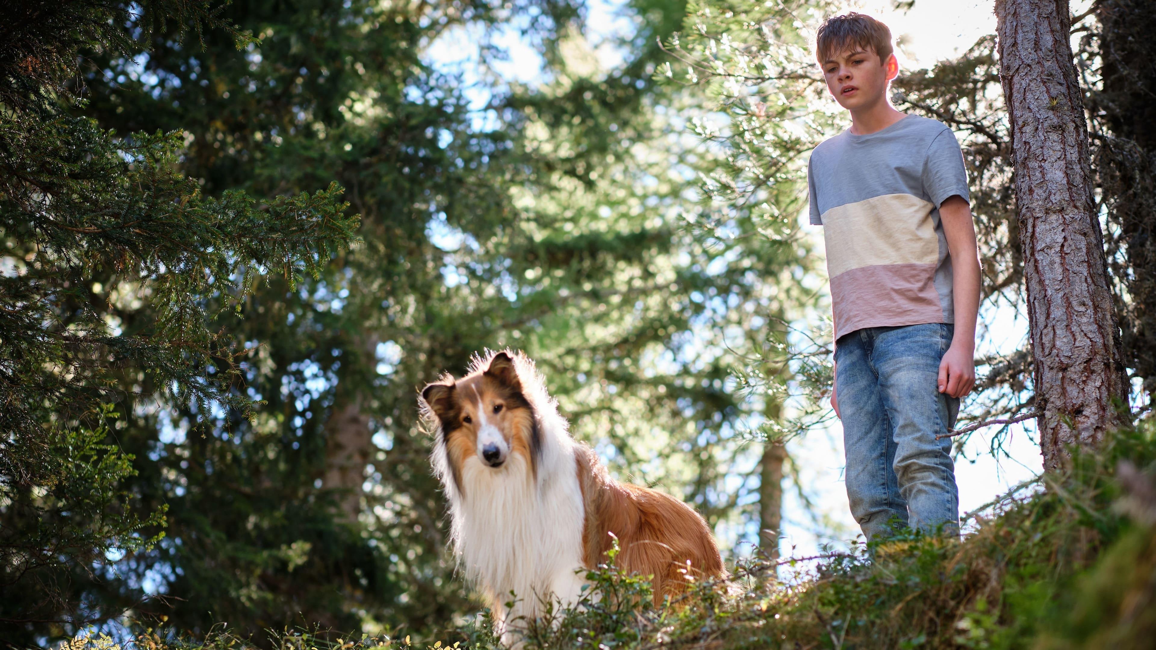 Lassie: A New Adventure backdrop