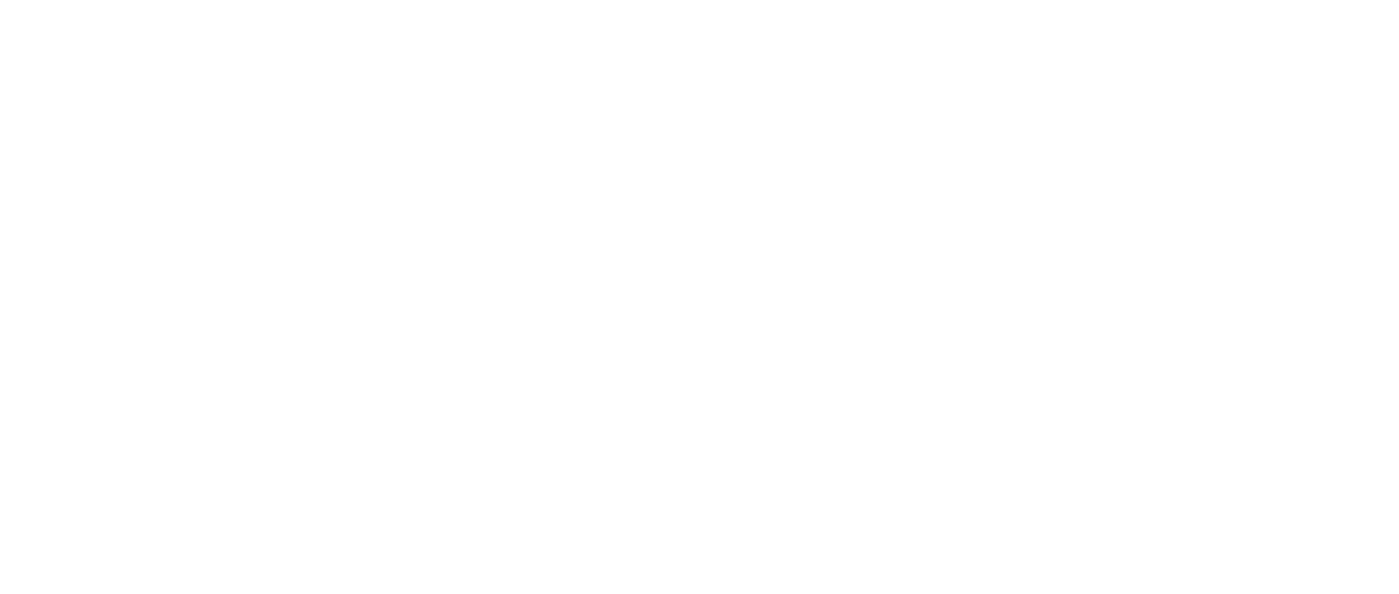 Tiger Stripes logo