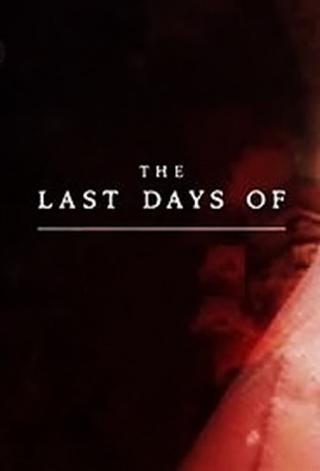 The Last Days Of... poster