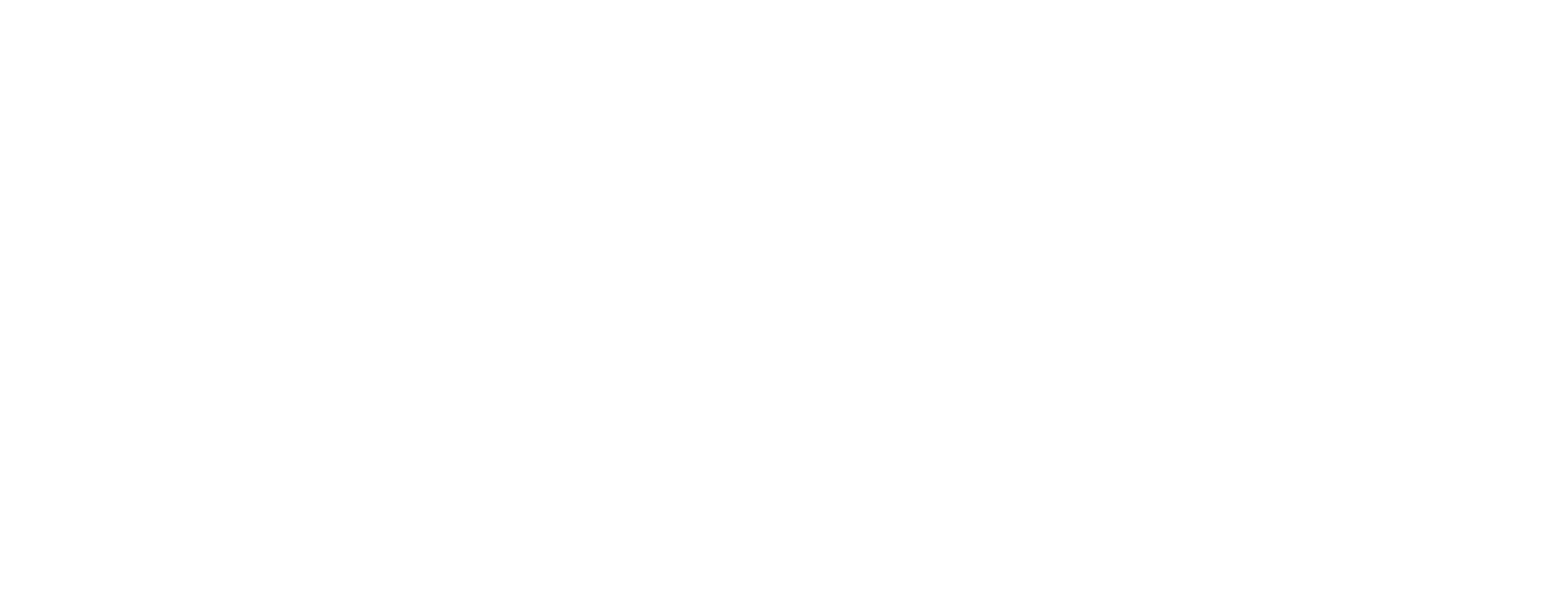 Forever Summer: Hamptons logo
