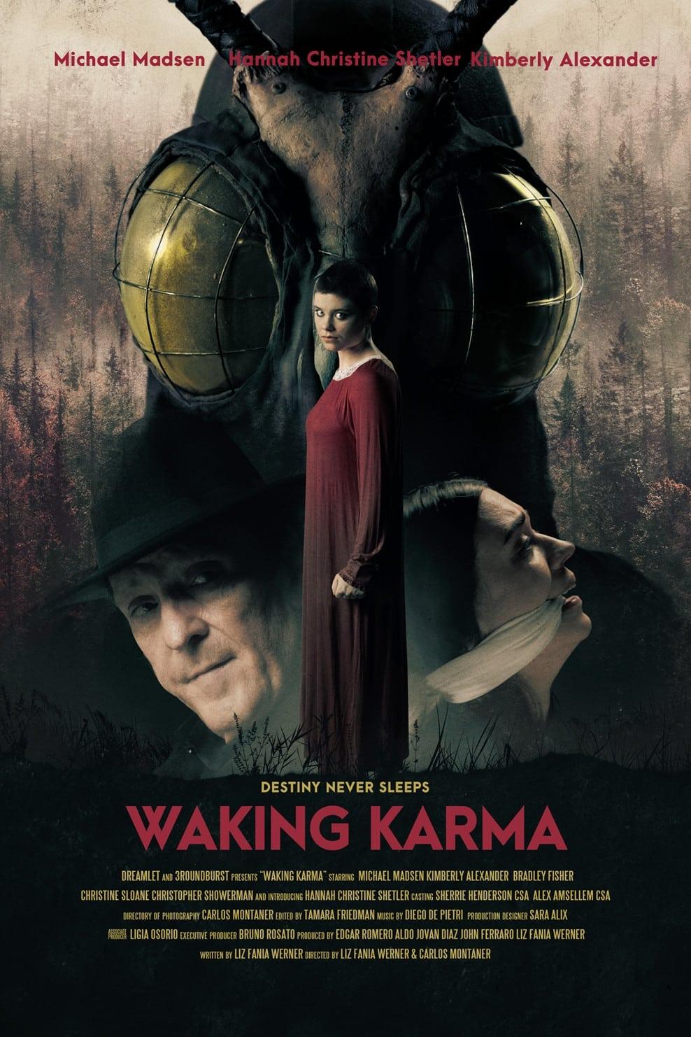 Waking Karma poster