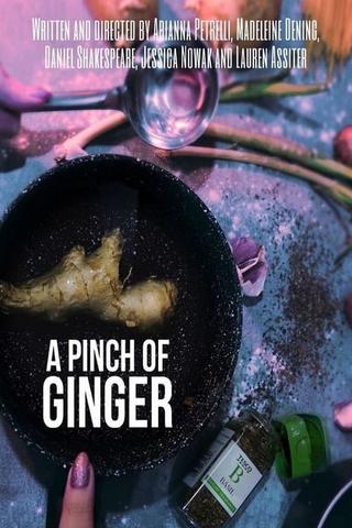 A Pinch of Ginger poster