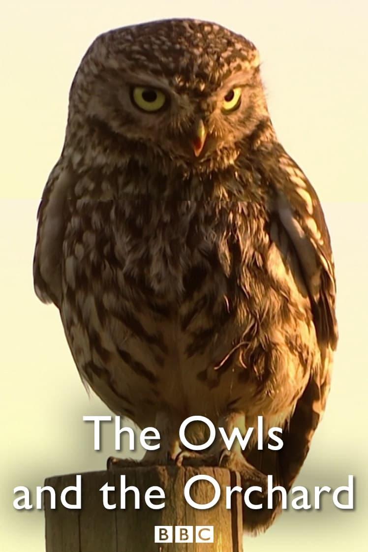 The Owls and the Orchard poster