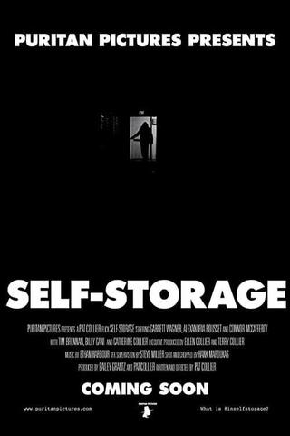 Self-Storage poster