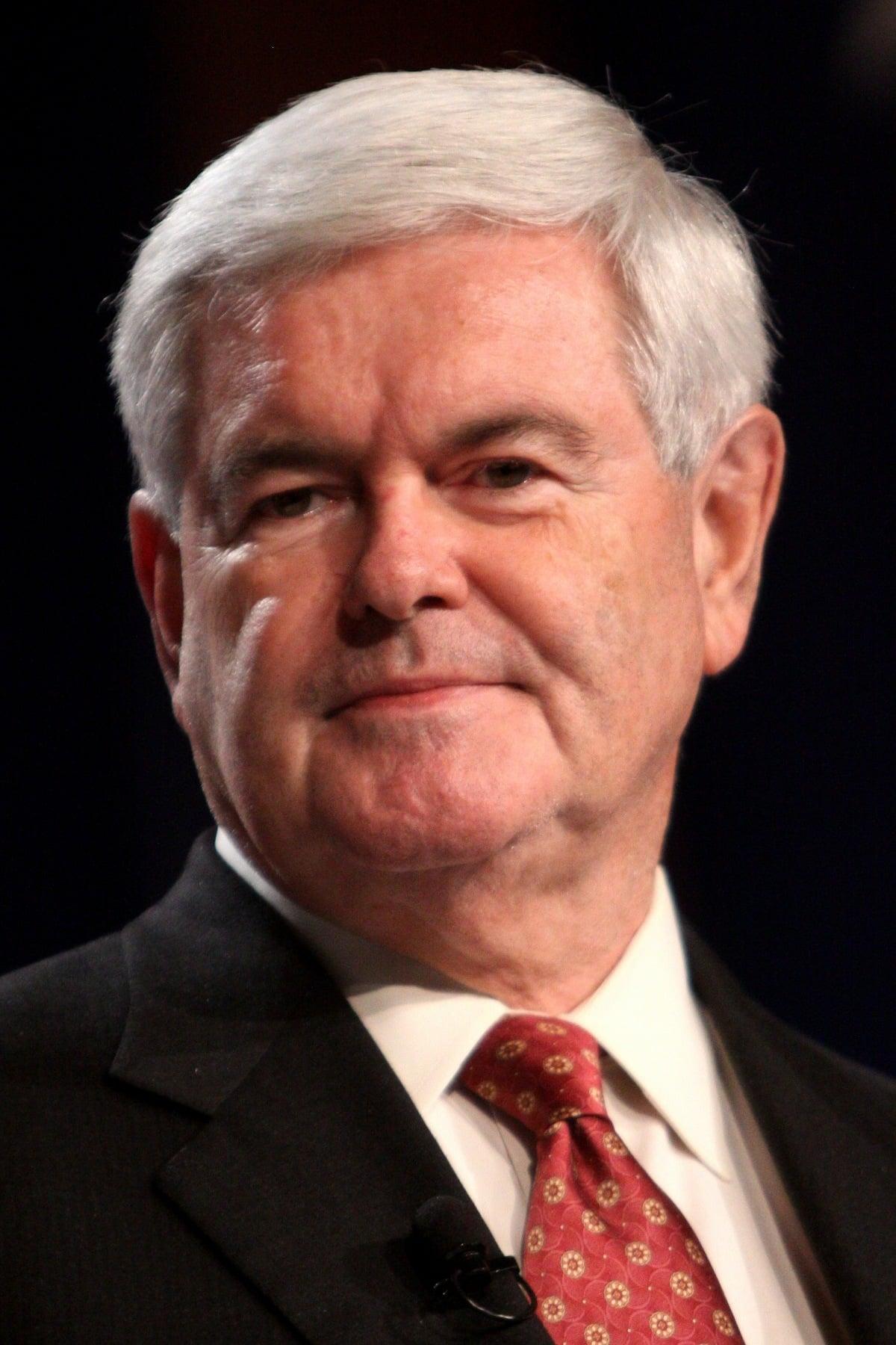 Newt Gingrich poster