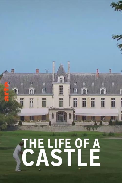 The Life of a Castle poster