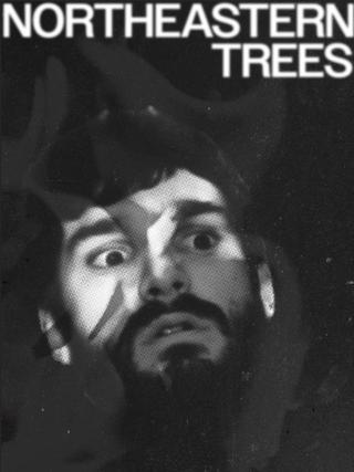 NORTHEASTERN TREES poster