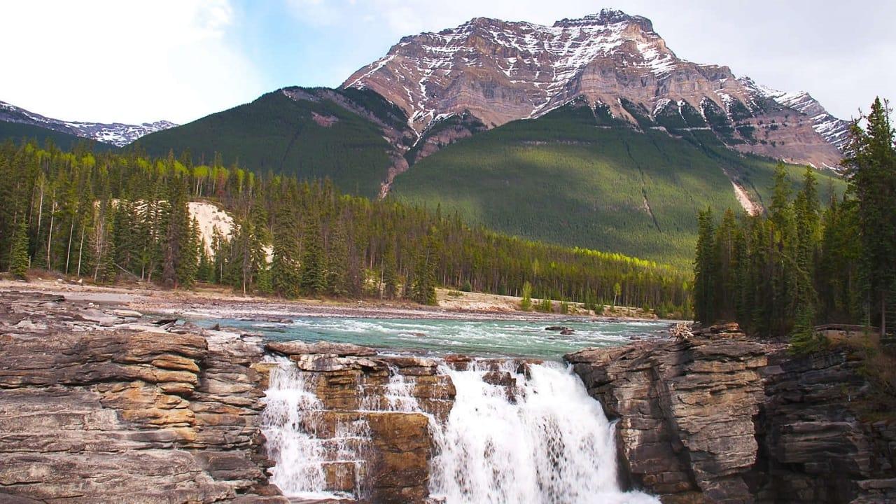 Wild Rockies backdrop