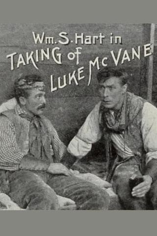 The Taking of Luke McVane poster
