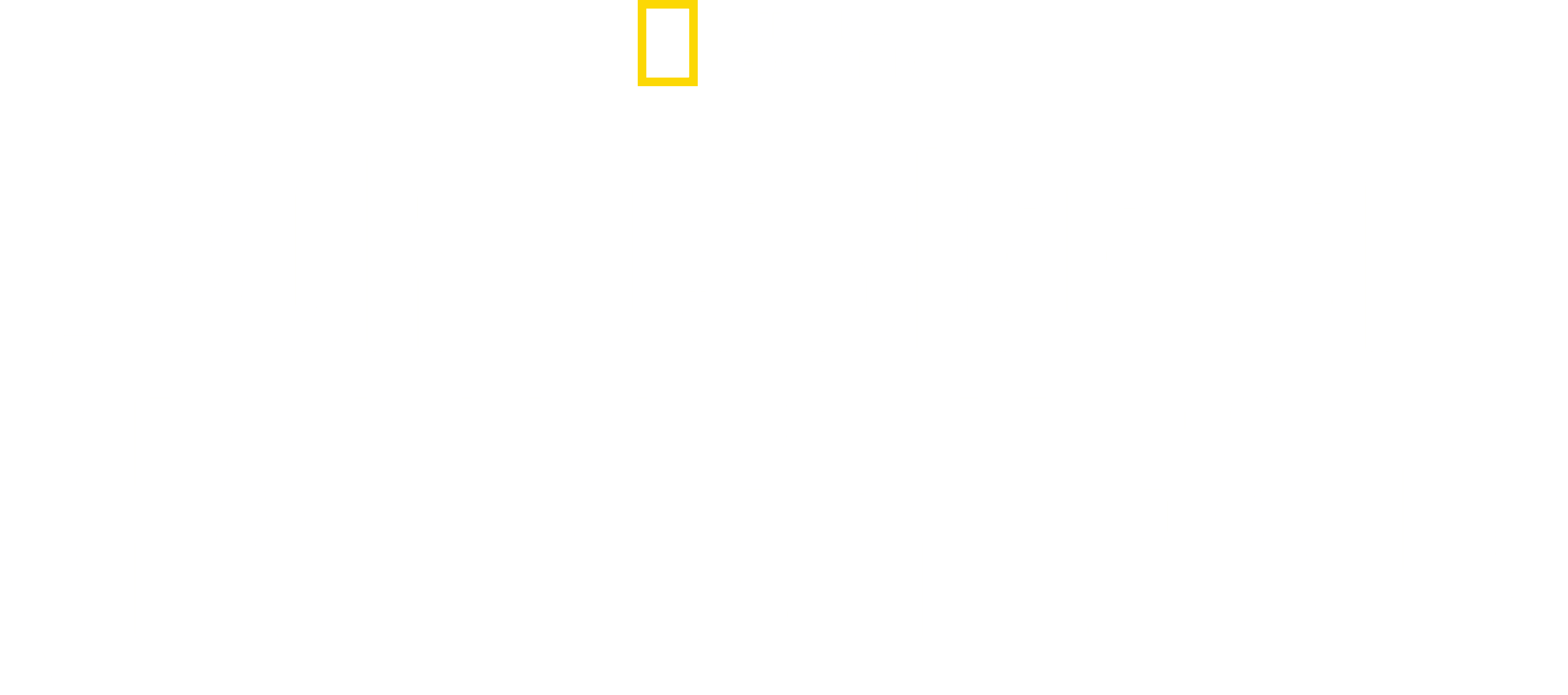 World's Biggest Hammerhead? logo