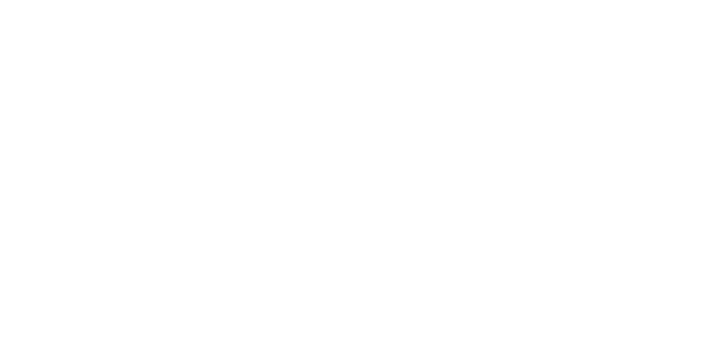 The Horses of McBride logo