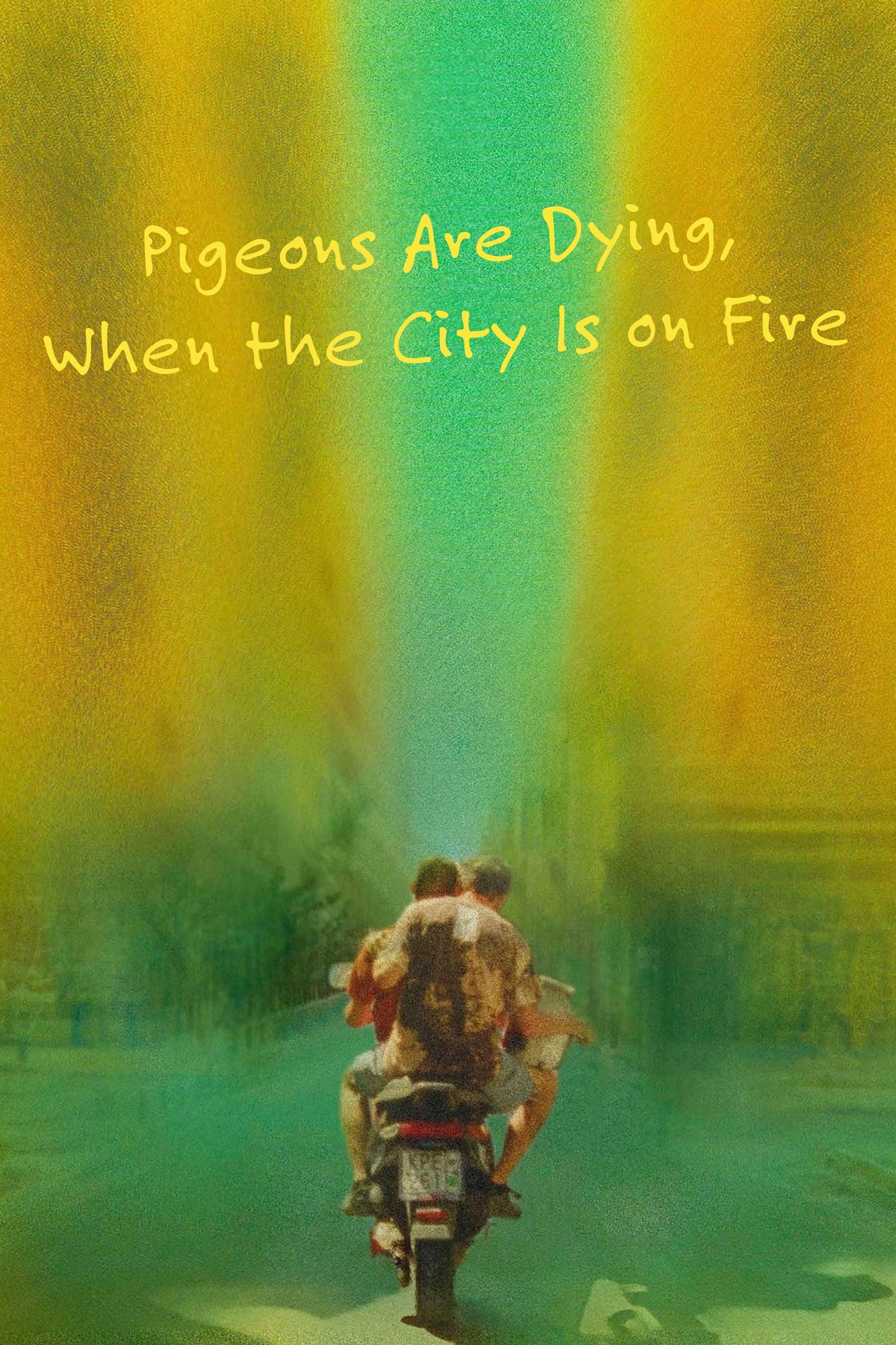 Pigeons Are Dying, When the City Is on Fire poster