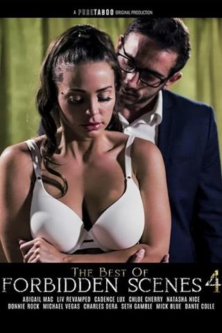 The Best of Forbidden Scenes 4 poster